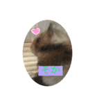 もふもふのもふでし（個別スタンプ：13）