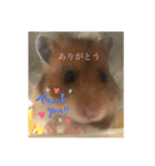 もふもふのもふでし（個別スタンプ：14）