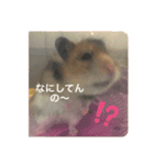 もふもふのもふでし（個別スタンプ：15）
