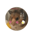 もふもふのもふでし（個別スタンプ：16）