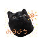 ちゃんまつスタンプ⑤（個別スタンプ：4）