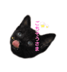 ちゃんまつスタンプ⑤（個別スタンプ：12）