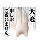 暗蔵喫茶【Killer饅頭】看板猫LINEスタンプ（個別スタンプ：14）