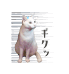 暗蔵喫茶【Killer饅頭】看板猫LINEスタンプ（個別スタンプ：23）