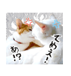 暗蔵喫茶【Killer饅頭】看板猫LINEスタンプ（個別スタンプ：25）
