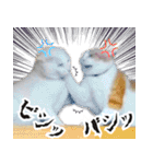 暗蔵喫茶【Killer饅頭】看板猫LINEスタンプ（個別スタンプ：26）