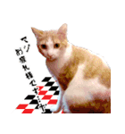 暗蔵喫茶【Killer饅頭】看板猫LINEスタンプ（個別スタンプ：34）