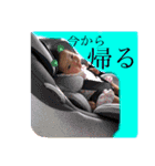 じゅねまる元気にごあいさつ（個別スタンプ：5）