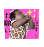 じゅねまる元気にごあいさつ（個別スタンプ：6）