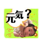 じゅねまる元気にごあいさつ（個別スタンプ：8）