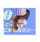 じゅねまる元気にごあいさつ（個別スタンプ：11）