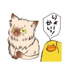 ねこひよ！(答える系)（個別スタンプ：4）