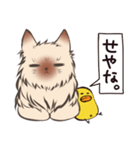 ねこひよ！(答える系)（個別スタンプ：6）