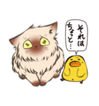 ねこひよ！(答える系)（個別スタンプ：11）