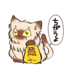 ねこひよ！(答える系)（個別スタンプ：19）