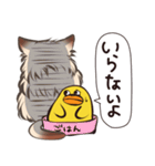 ねこひよ！(答える系)（個別スタンプ：24）