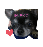 kocchan  2（個別スタンプ：5）
