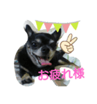 kocchan  2（個別スタンプ：7）
