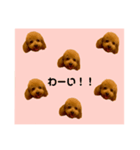 まろんくん29（個別スタンプ：6）