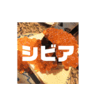 樫原語録（個別スタンプ：36）