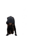 バニバニピヨピヨ（個別スタンプ：15）