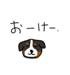 イッヌの口癖（普通の）（個別スタンプ：1）