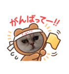 かわいいにゃんずミックス（個別スタンプ：2）