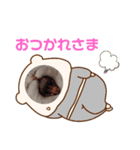 かわいいにゃんずミックス（個別スタンプ：4）