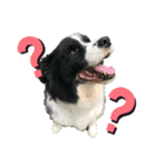 ボーですがなにか？（個別スタンプ：6）