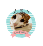 にゃんスタGood（個別スタンプ：1）