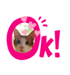 にゃんスタGood（個別スタンプ：4）