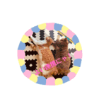 にゃんスタGood（個別スタンプ：6）