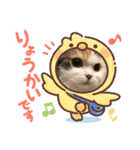はぴちゃんの日常会話No.3（個別スタンプ：1）