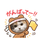 はぴちゃんの日常会話No.3（個別スタンプ：2）