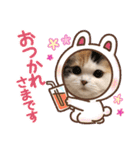 はぴちゃんの日常会話No.3（個別スタンプ：3）