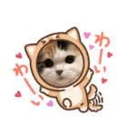 はぴちゃんの日常会話No.3（個別スタンプ：7）