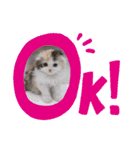 はぴちゃんの日常会話No.3（個別スタンプ：10）
