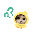 はぴちゃんの日常会話No.3（個別スタンプ：15）