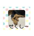 まろんまろんまろんま（個別スタンプ：2）
