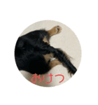 まろんまろんまろんま（個別スタンプ：3）