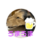 まろんまろんまろんま（個別スタンプ：6）