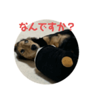 まろんまろんまろんま（個別スタンプ：7）