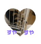 まろんまろんまろんま（個別スタンプ：8）