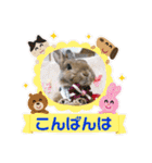 うさぎのビビ☆日常会話スタンプ3（個別スタンプ：3）