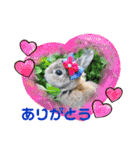 うさぎのビビ☆日常会話スタンプ3（個別スタンプ：8）