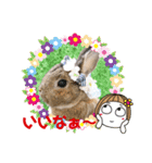 うさぎのビビ☆日常会話スタンプ3（個別スタンプ：21）
