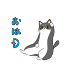 くろねことくつした ネットスラングver（個別スタンプ：1）