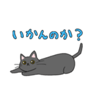 くろねことくつした ネットスラングver（個別スタンプ：6）