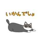 くろねことくつした ネットスラングver（個別スタンプ：7）