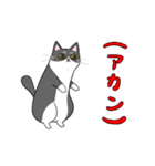 くろねことくつした ネットスラングver（個別スタンプ：11）